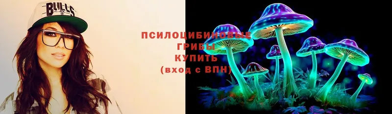 Псилоцибиновые грибы MAGIC MUSHROOMS  как найти закладки  Воронеж 